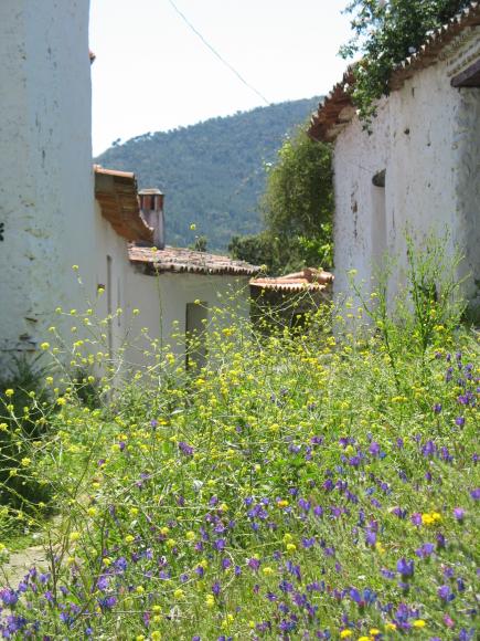 Madroneros, abaondoned village, Spain